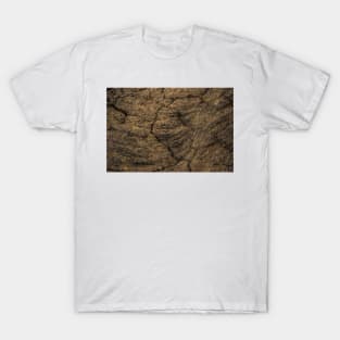 Volcanic rock T-Shirt